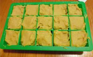 Cheez in Silicone Ice Cube Trays