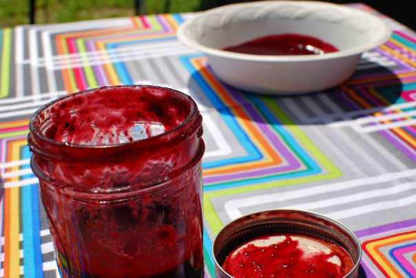 Blueberry Barbecue Sauce - Photo by J. Andrews