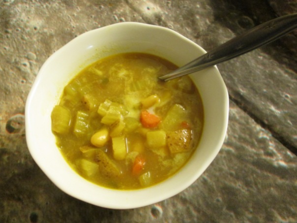 Potato Curry Soup (on the moon!)
