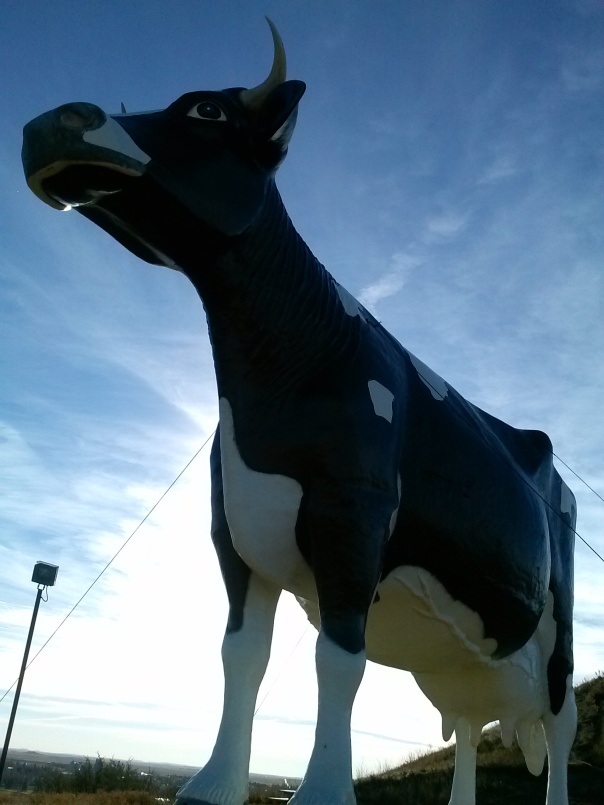 New Salem Sue, the world's largest Holstein cow