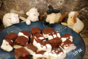 Chocolate Covered Peppermint Marshmallows with Sheep - Photo by J. Andrews